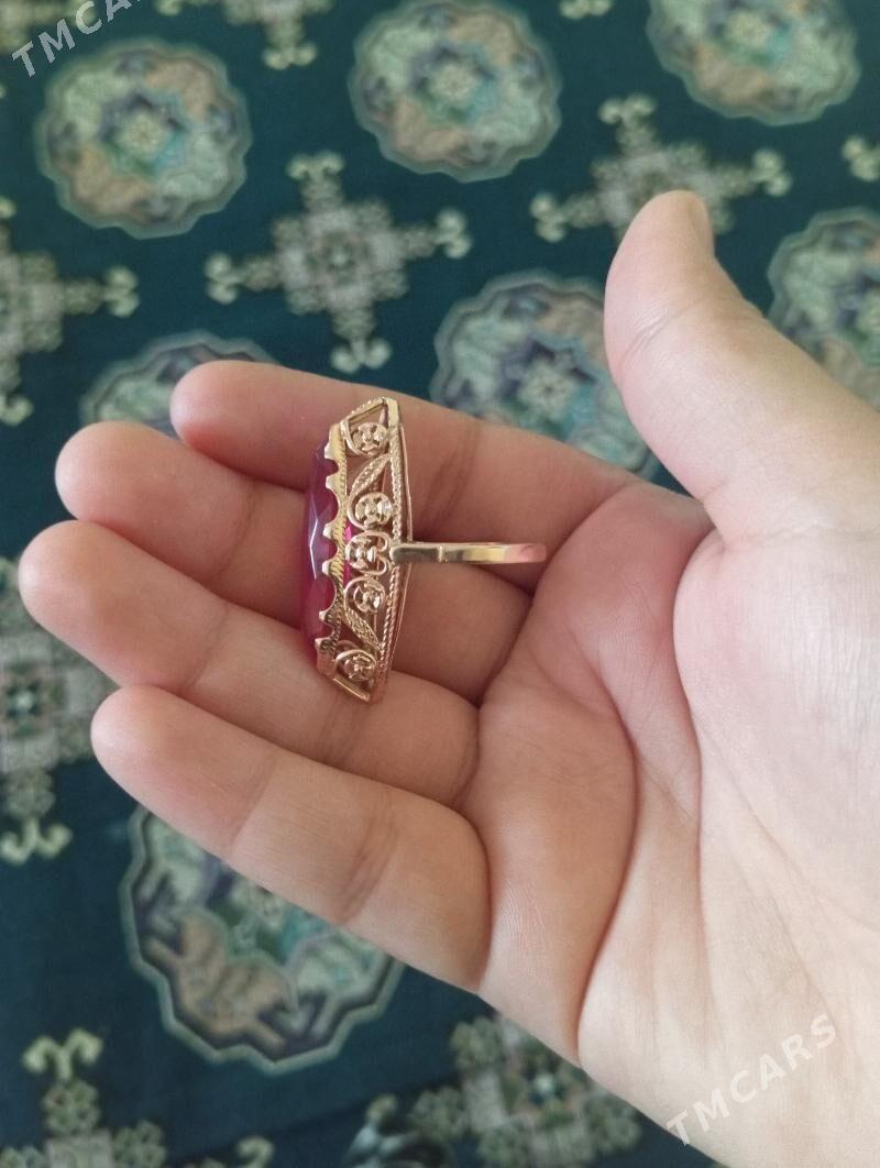 Lotga gyzyl - Änew - img 1