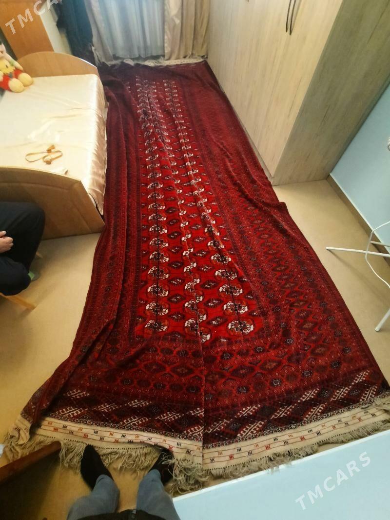 El haly - Ашхабад - img 2