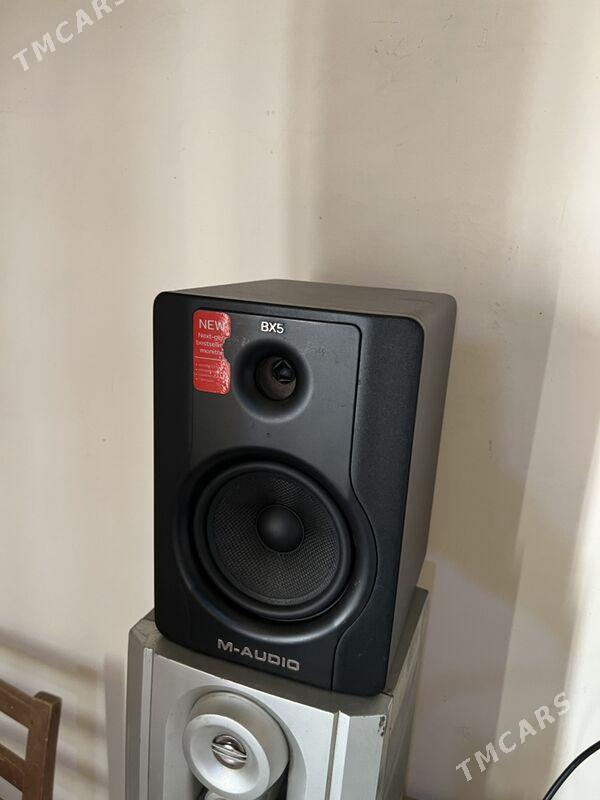 isdudya kalnoka mikrafon - Bagyr - img 2