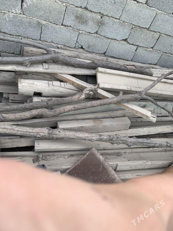 agaclar demirler - Büzmeýin GRES - img 3