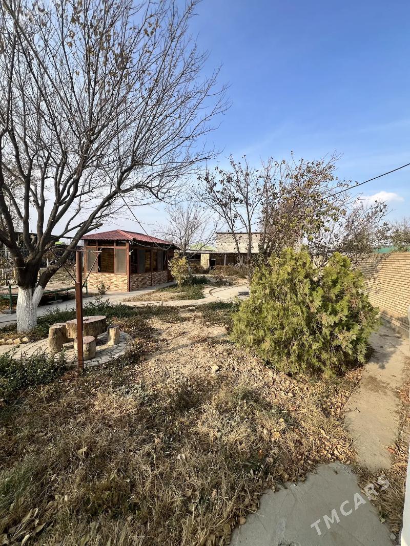 Änew, Magtymguly, 16-sotok ýer - Анев - img 5