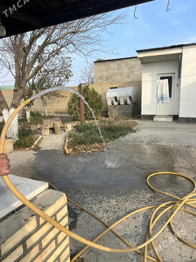 Änew, Magtymguly, 16-sotok ýer - Анев - img 7