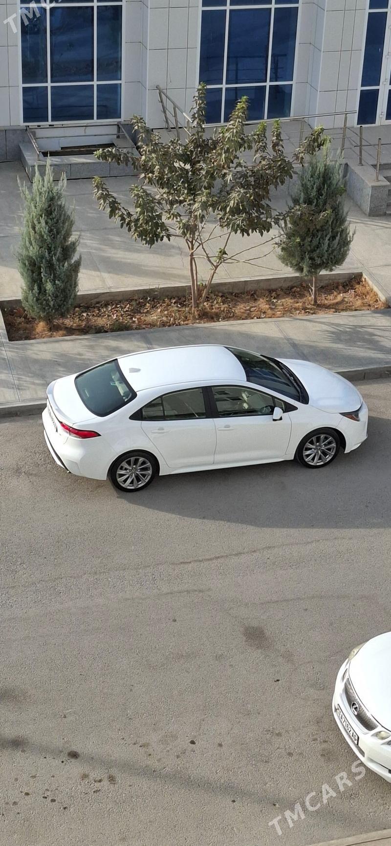 Toyota Corolla 2022 - 255 000 TMT - ул. Подвойского (Битарап Туркменистан шаёлы) - img 9