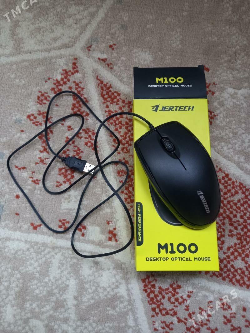 myşka syçan мышка - Балканабат - img 4