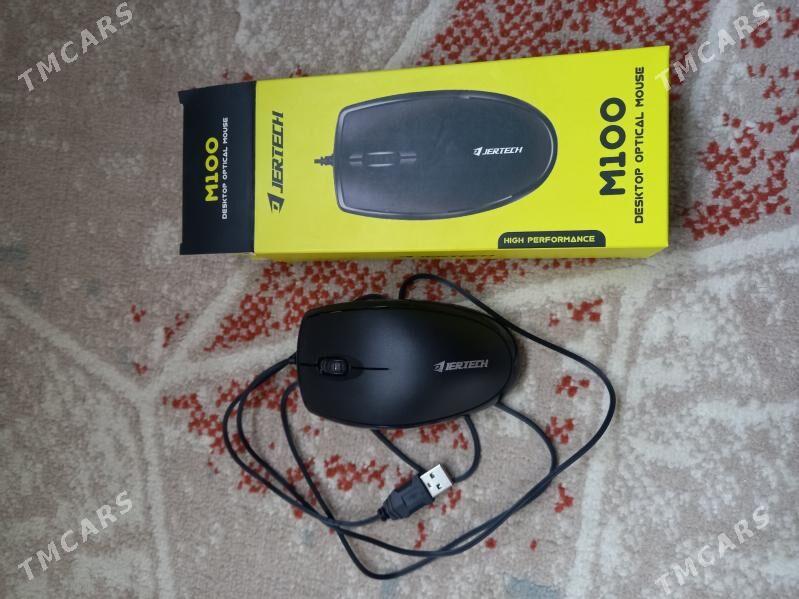 myşka syçan мышка - Балканабат - img 3