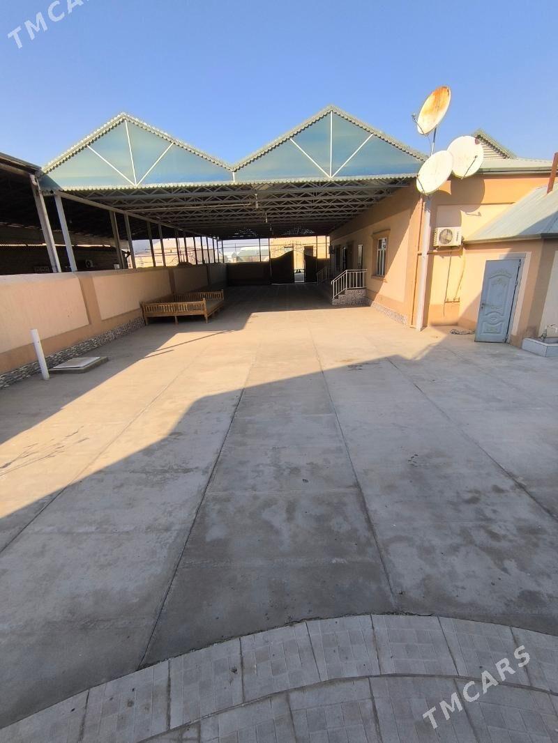 satlyk howly - Мары - img 2