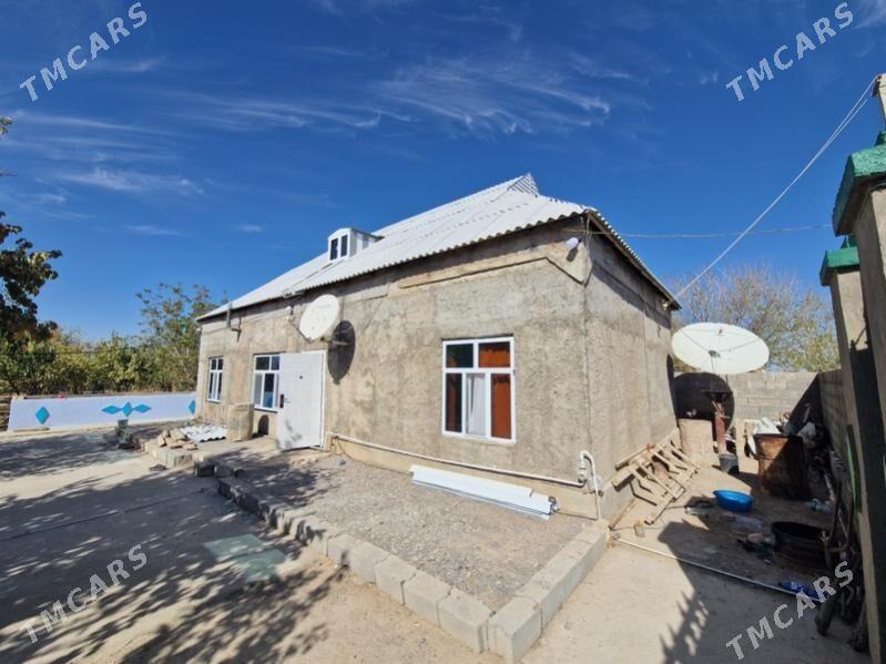 satlyk jay - Кака - img 3