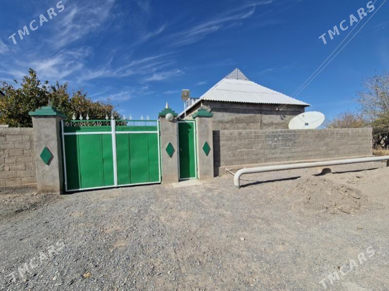 satlyk jay - Кака - img 2