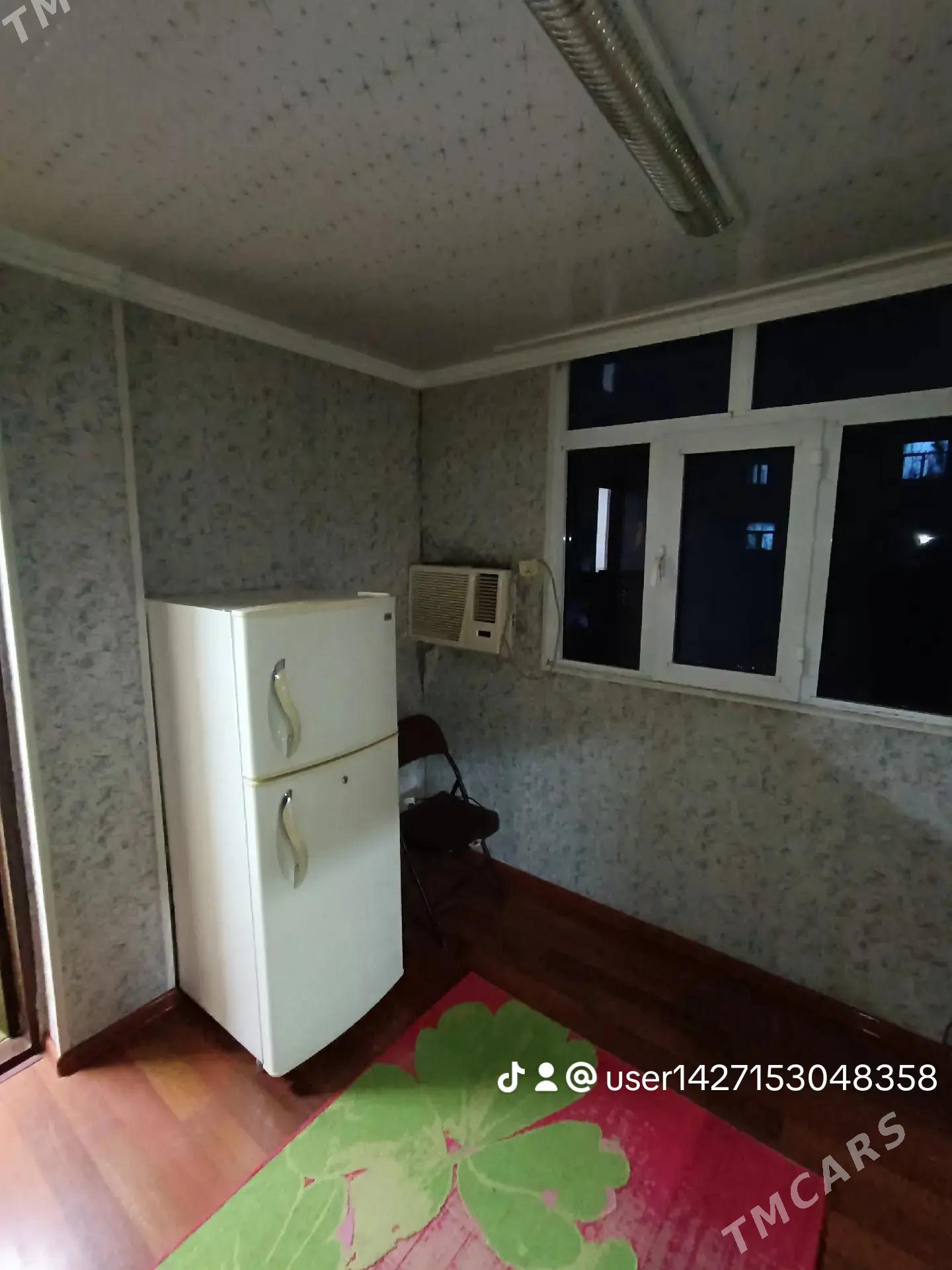 Satlyk jay - Mary - img 4