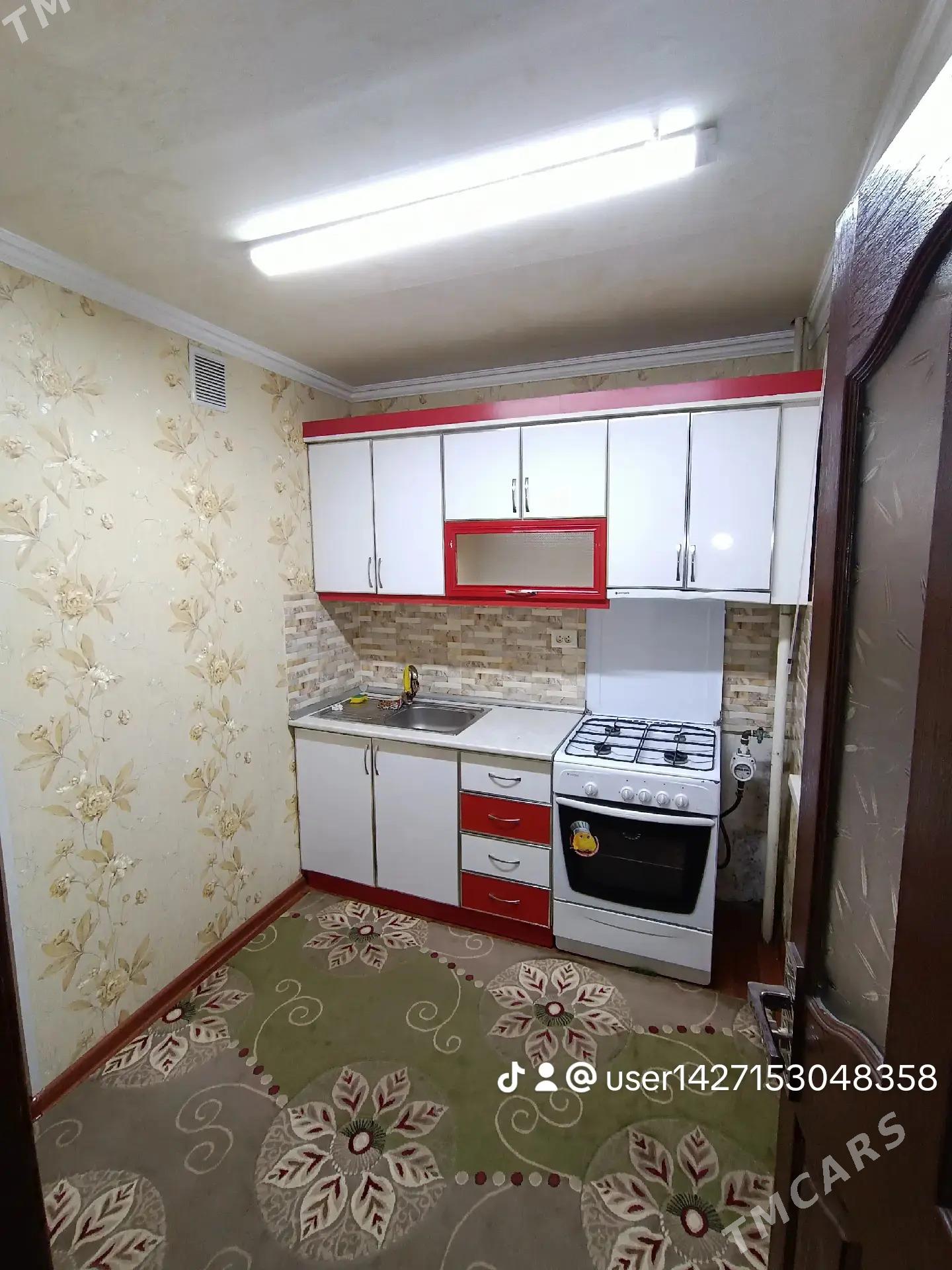 Satlyk jay - Mary - img 2