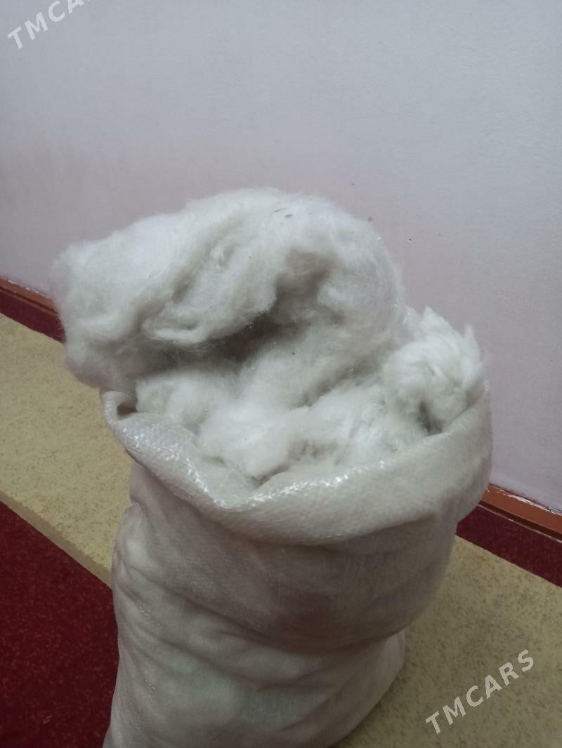 sintifon - Türkmenabat - img 3