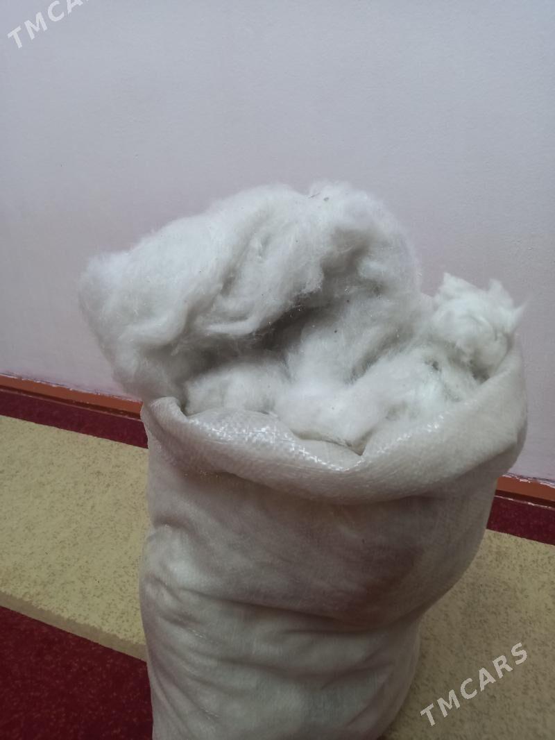 sintifon - Türkmenabat - img 2