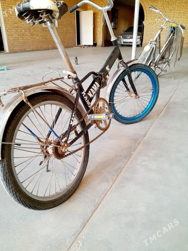 кама - Дянев - img 4