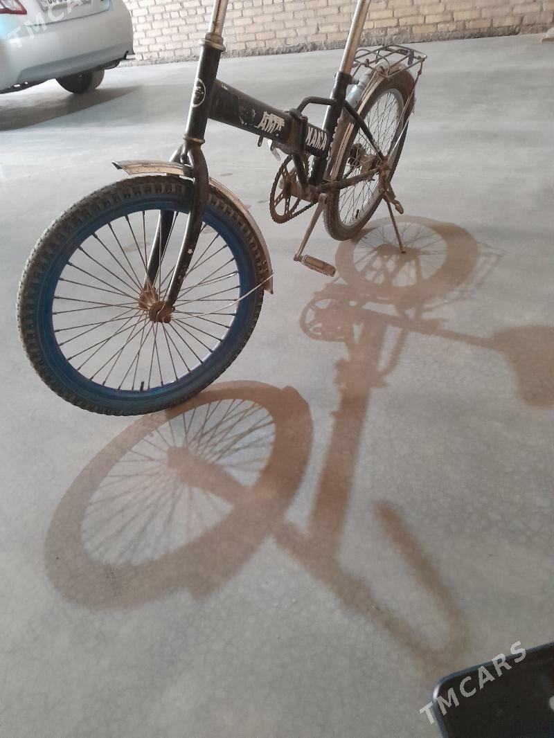 кама - Дянев - img 3