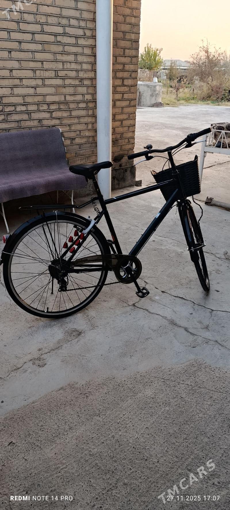 welosepid (tigir) - Мары - img 2