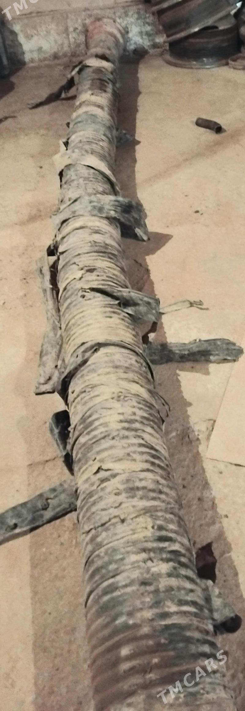 Nasoz Adelina - етр. Туркменбаши - img 6