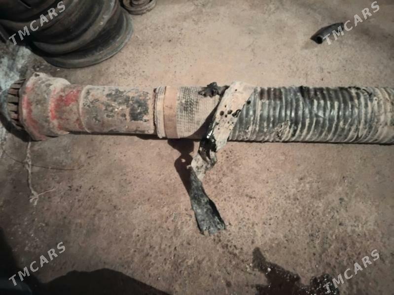 Nasoz Adelina - етр. Туркменбаши - img 5