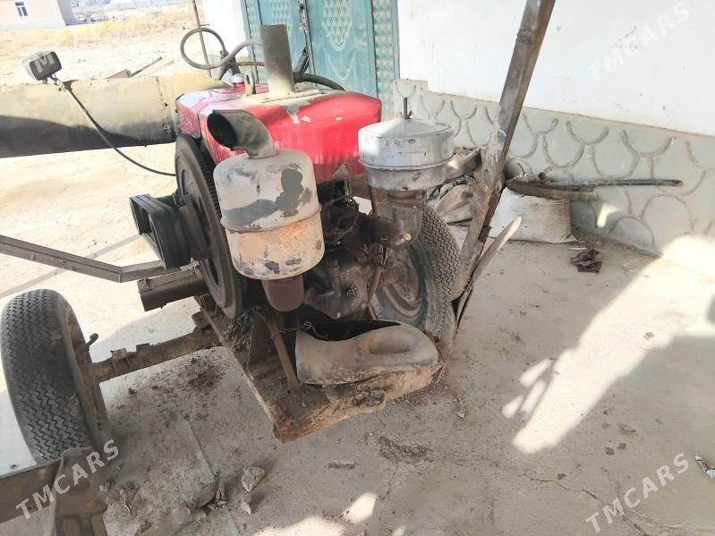 Nasoz Adelina - етр. Туркменбаши - img 4