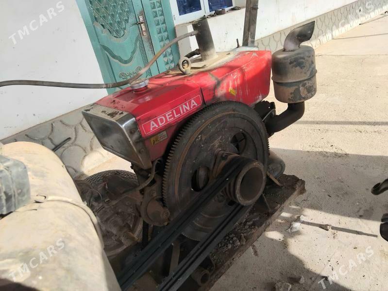 Nasoz Adelina - етр. Туркменбаши - img 2