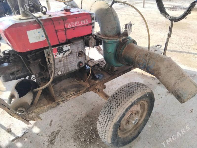 Nasoz Adelina - етр. Туркменбаши - img 3