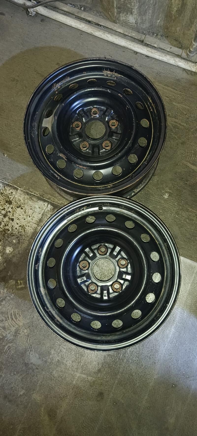 Disga 600 TMT - Mary - img 3