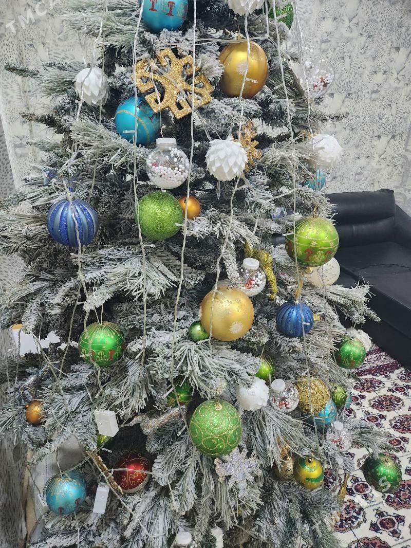 yolka - Çoganly - img 3