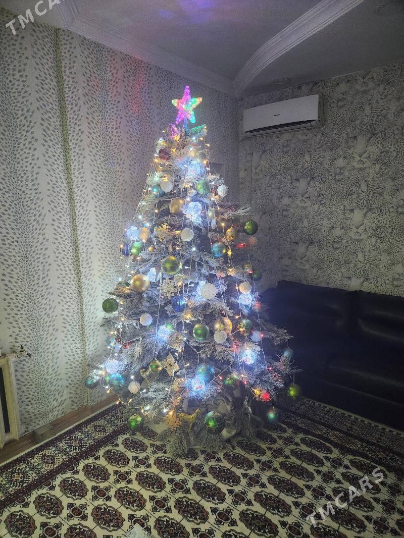 yolka - Çoganly - img 5