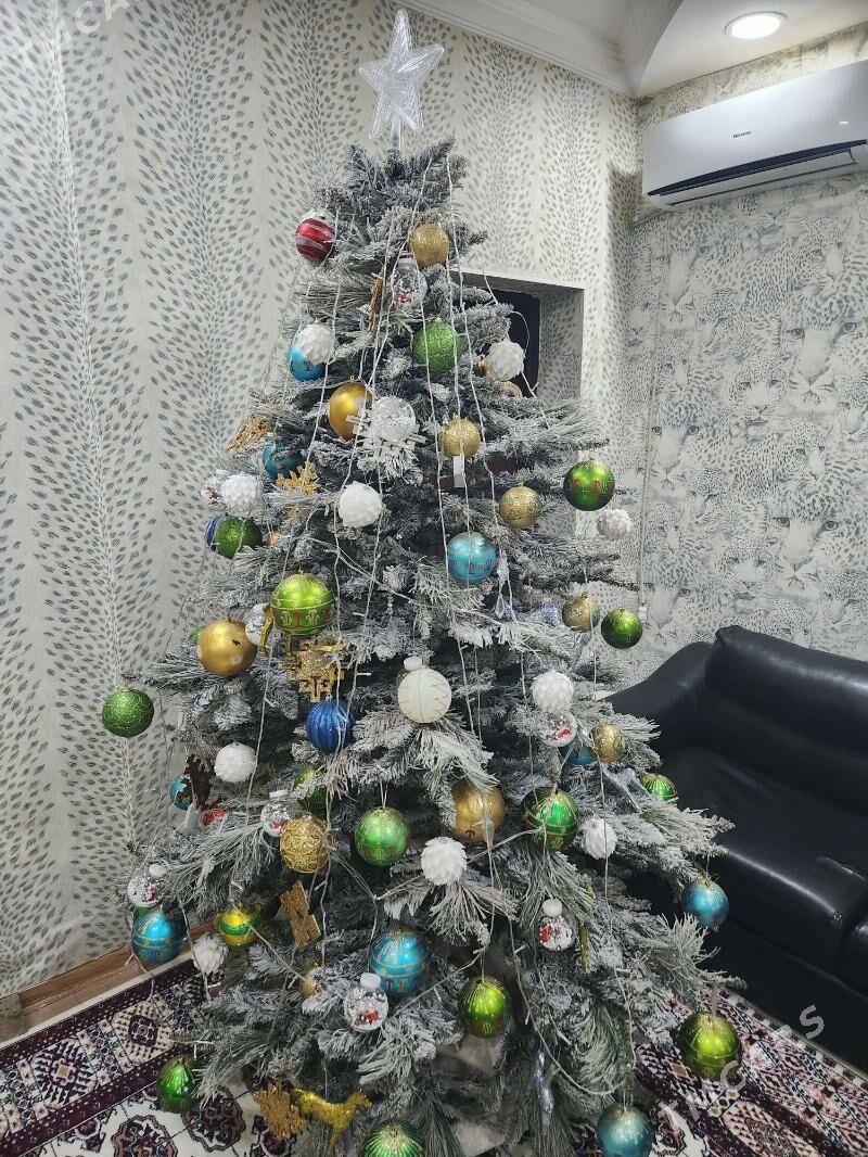 yolka - Çoganly - img 4