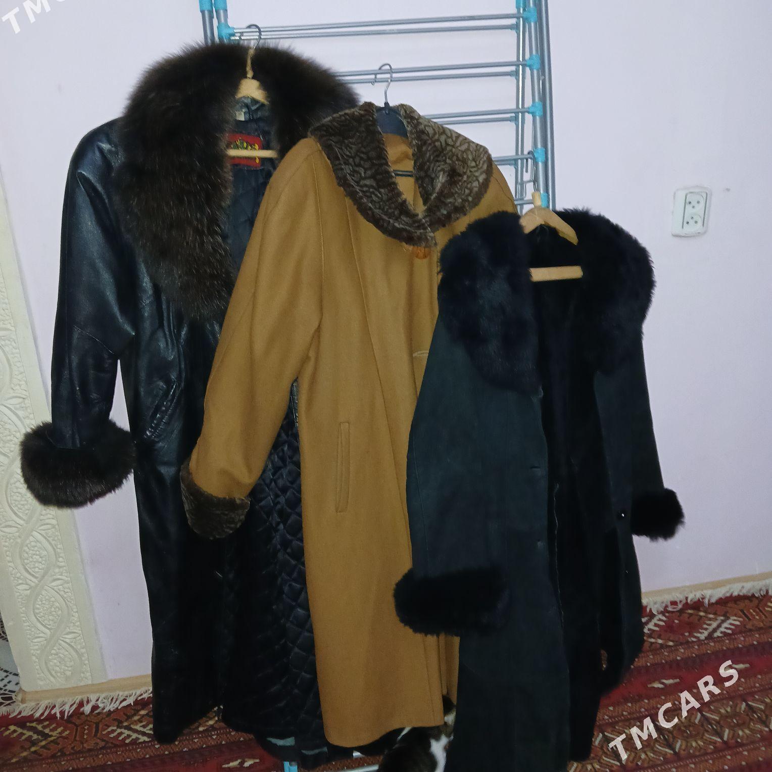 Paltolar, dublýonka, kurtkalar - Daşoguz - img 2