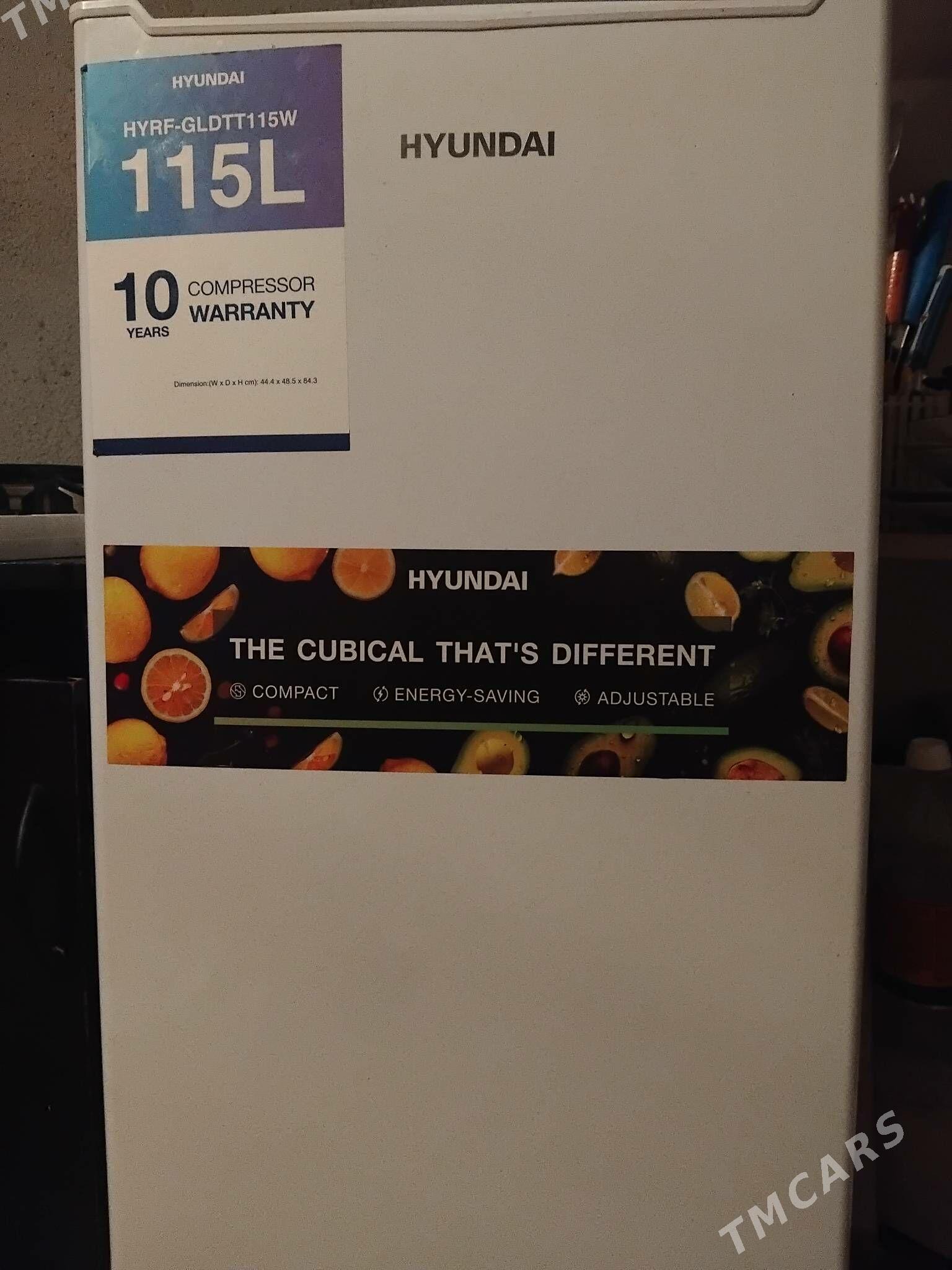 halandilik - Änew - img 2