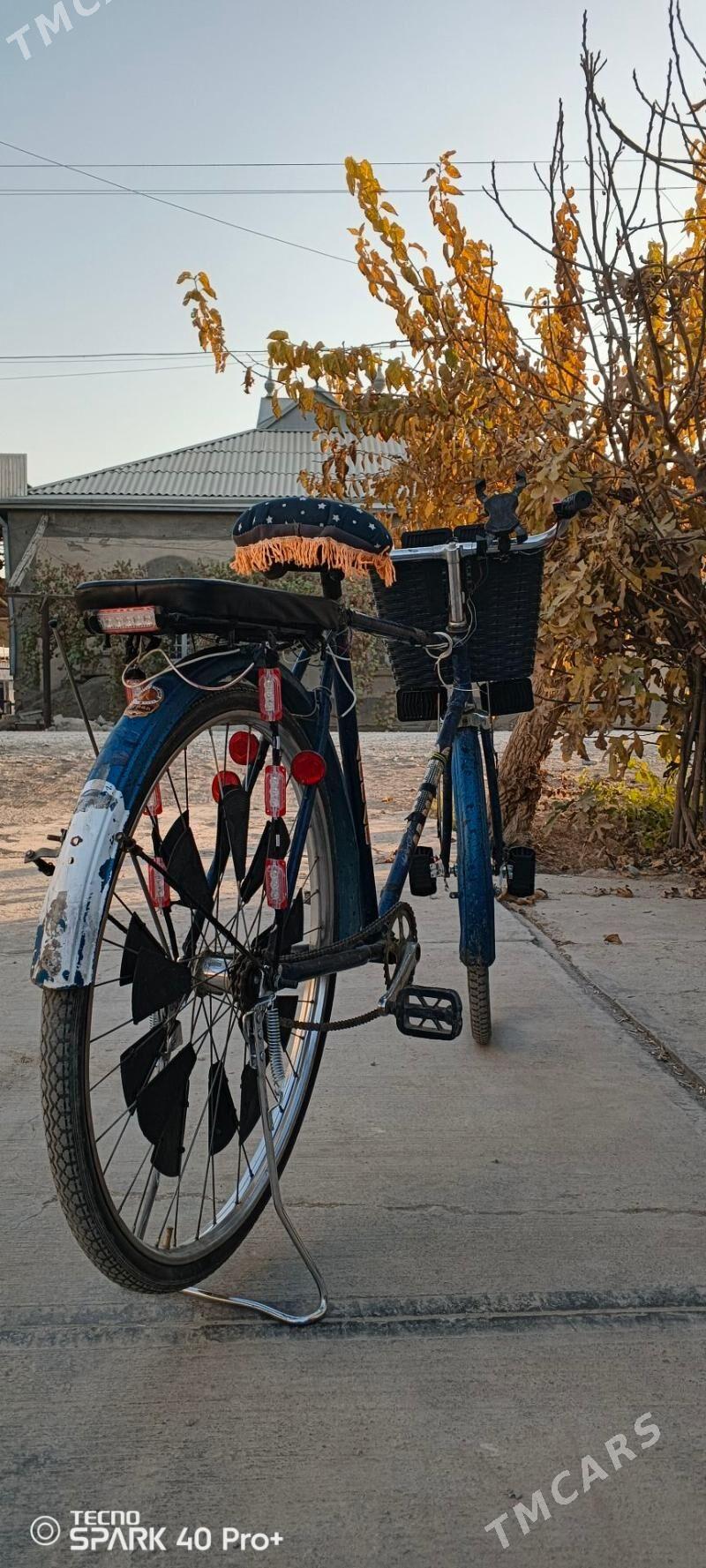 tigir 500 lik - Mary - img 4