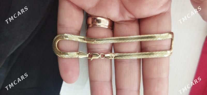 gyzyl brasled - Büzmeýin - img 3