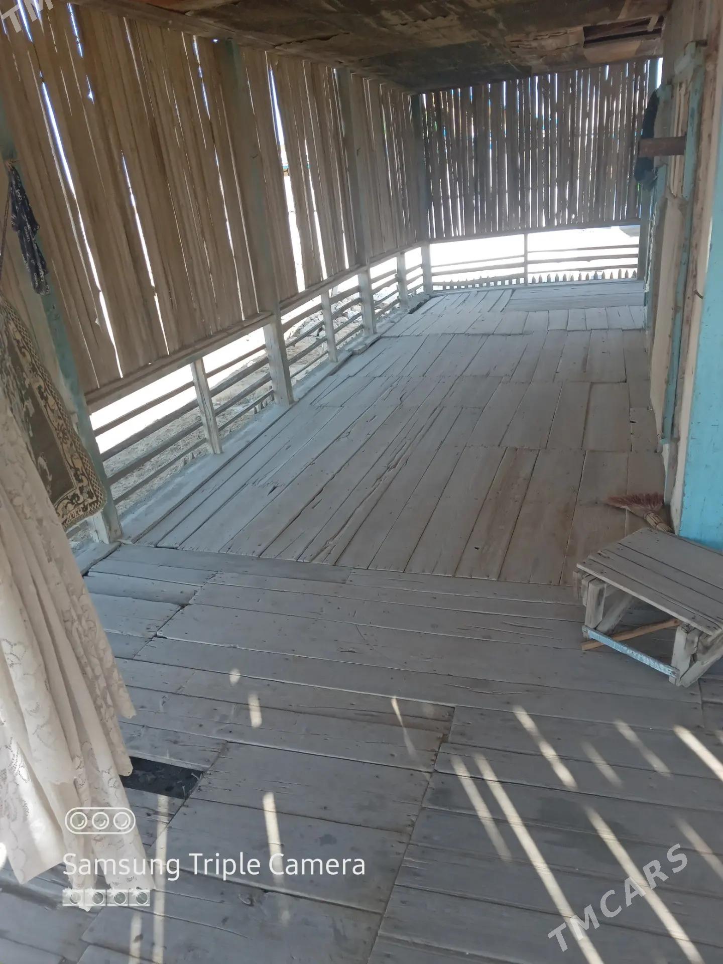 Agaç jaý - Esenguly - img 9