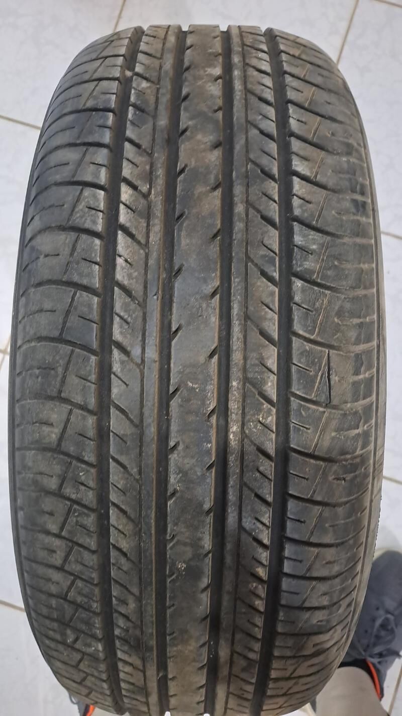 yokahama 1 800 TMT - Sakarçäge - img 3