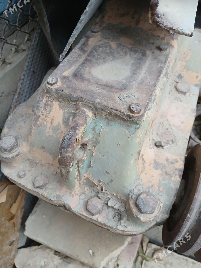 Oba hojalyk - Gyzylarbat - img 2