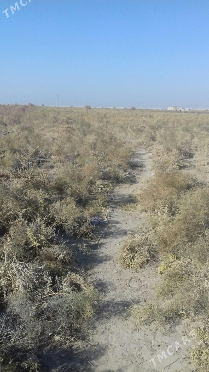 satlyk mellek ýer - Байрамали - img 2