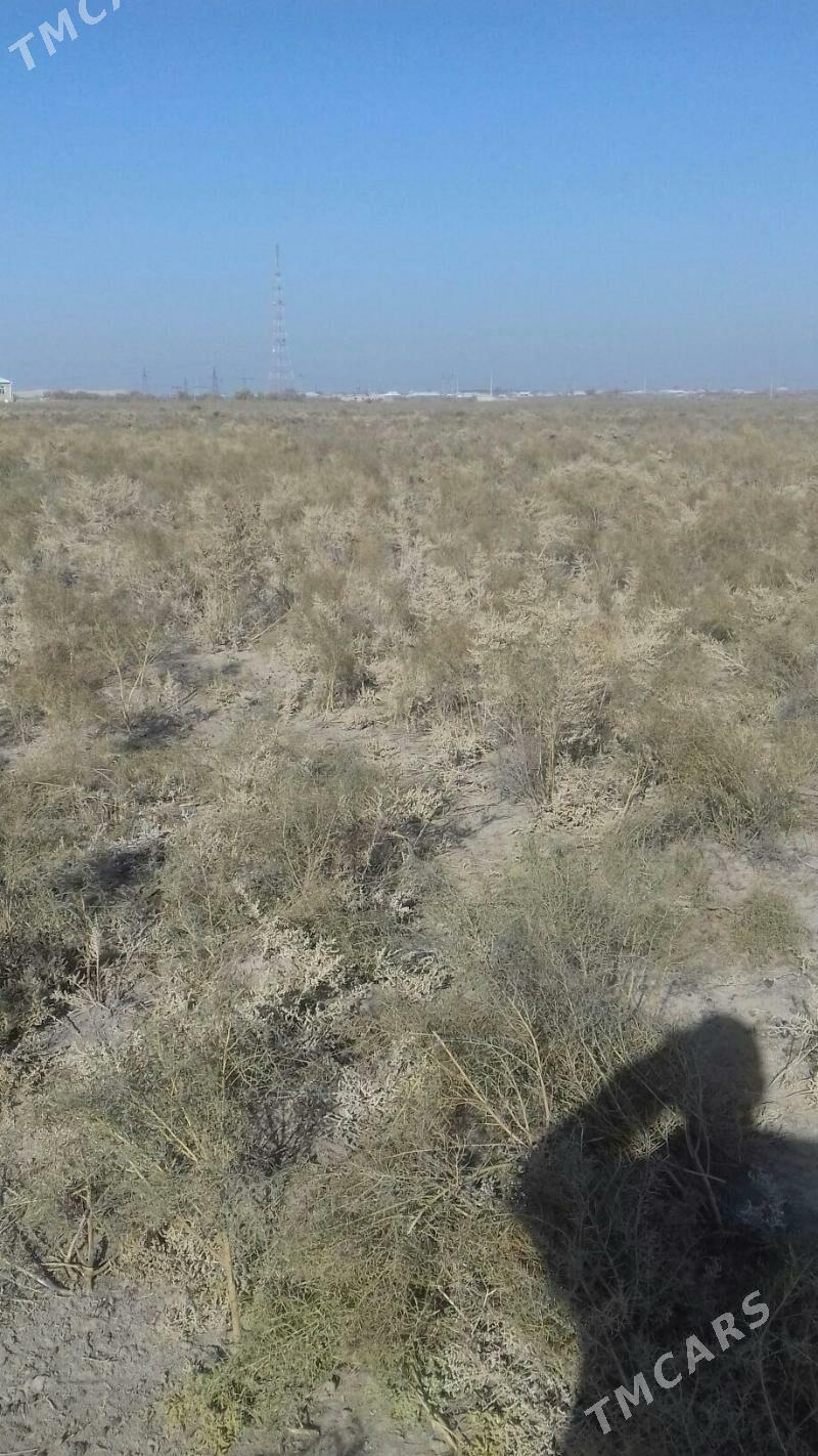 satlyk mellek ýer - Байрамали - img 3