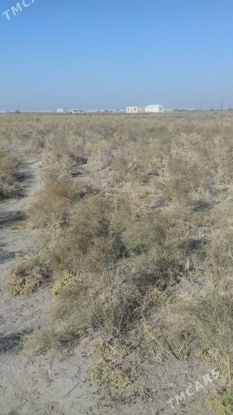 satlyk mellek ýer - Байрамали - img 4