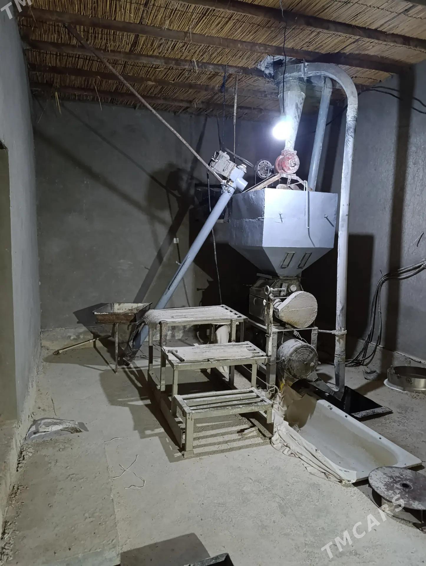 Haraz.un - Sakarçäge - img 1