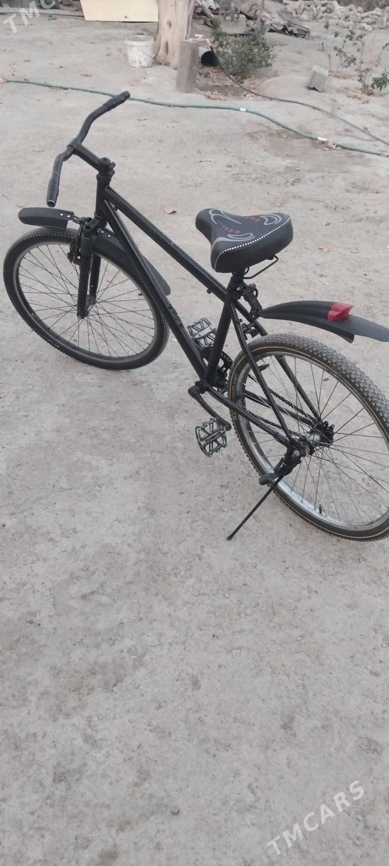 tigir - Gökdepe - img 4