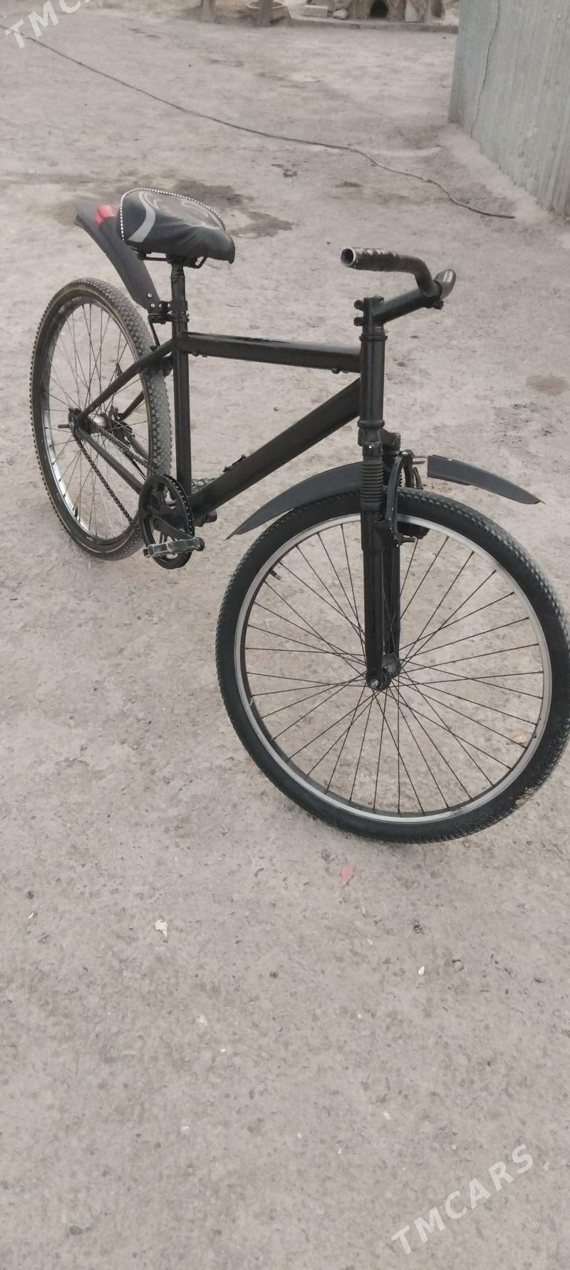 tigir - Gökdepe - img 2