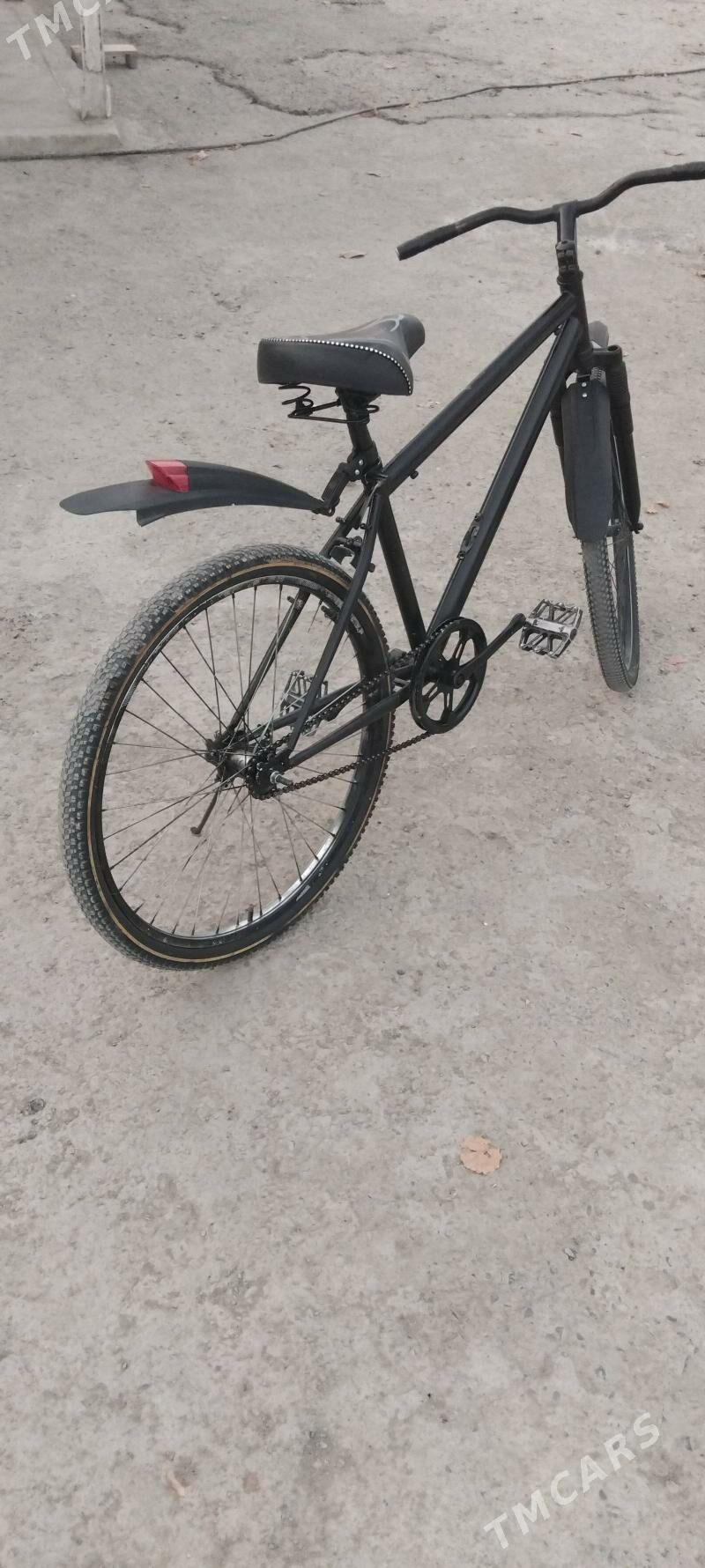 tigir - Gökdepe - img 3