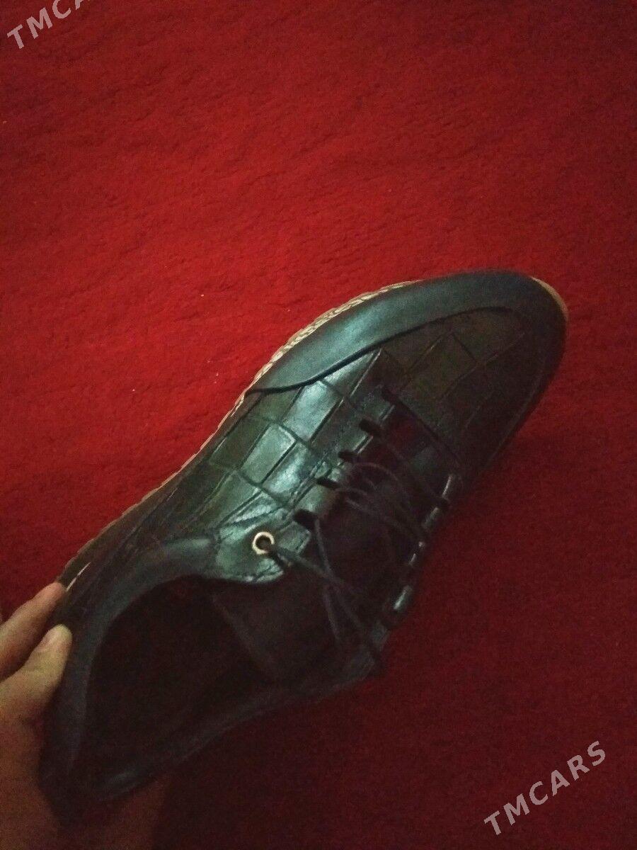 krasofka - Дашогуз - img 4