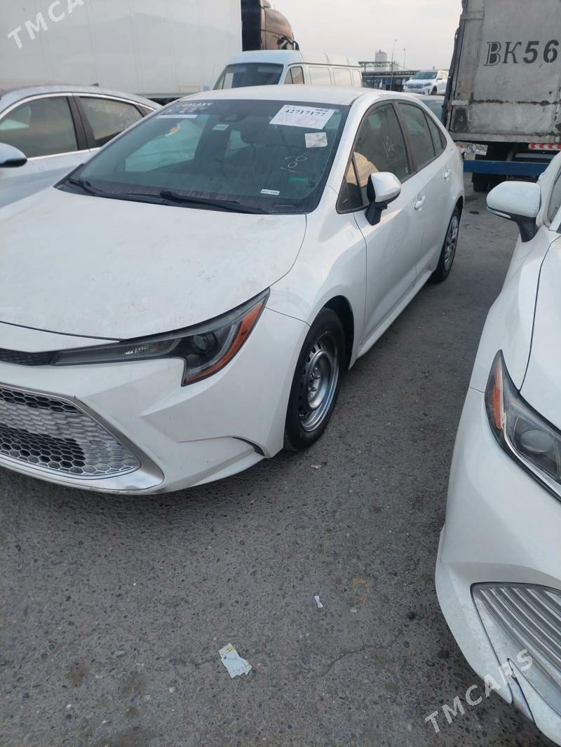 Toyota Corolla 2020 - 226 000 TMT - Ашхабад - img 3