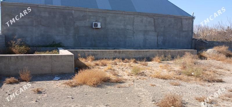 Satlyk ýer - Бахарден - img 2