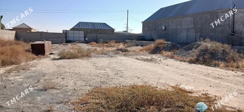 Satlyk ýer - Бахарден - img 5