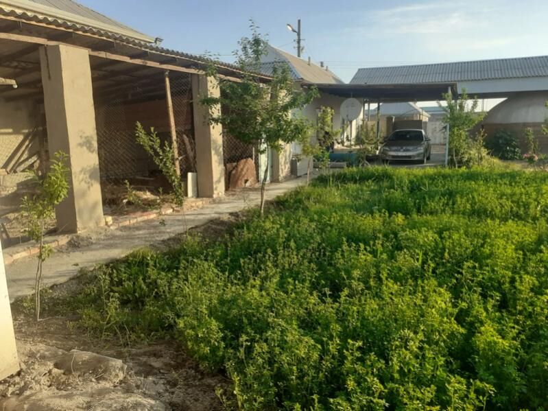 daca - Мары - img 10