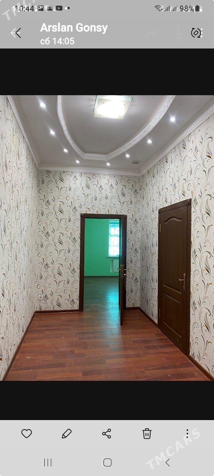 Jay howlyly - Garabekewül - img 3