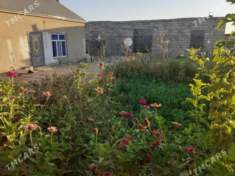 daca - Мары - img 5