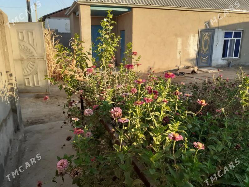 daca - Мары - img 3